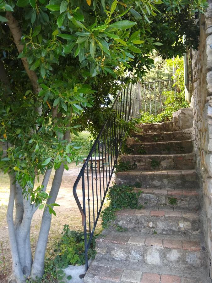 De Baraud *
